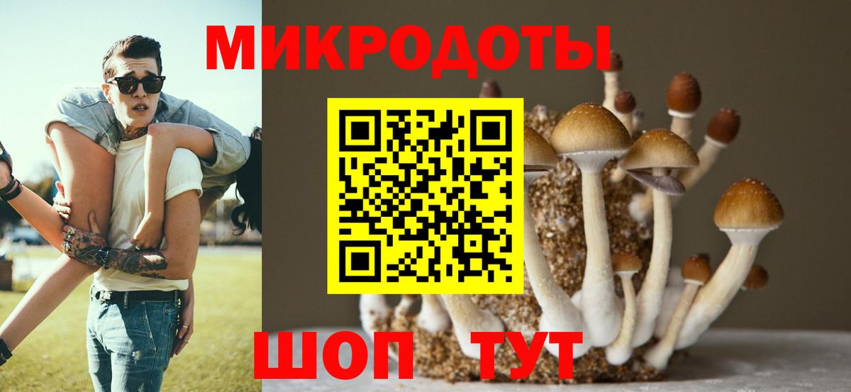Галлюциногенные грибы Psilocybine cubensis Усть-Джегута