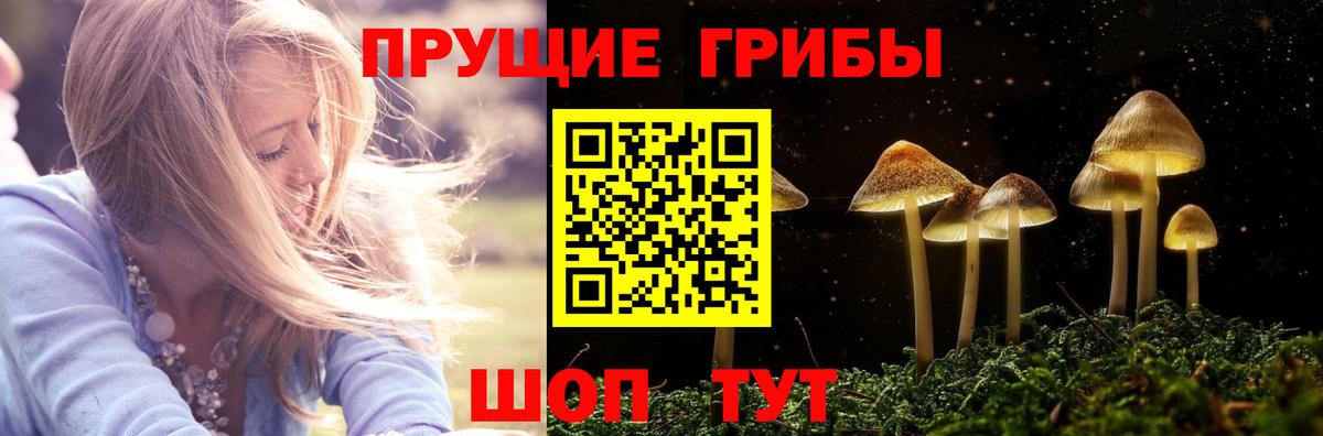 Галлюциногенные грибы Psilocybine cubensis  Вход с VPN  Псилоцибиновые грибы GOLDEN TEACHER  Усть-Джегута 